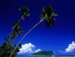 注冊(cè)薩摩亞公司的條件