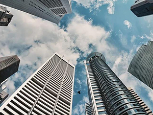 新加坡公司提交年報(bào)的賬戶要求