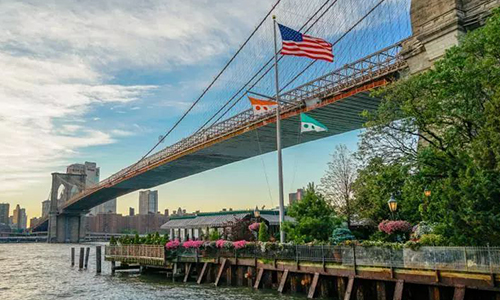 美國紐約州公司審計報稅