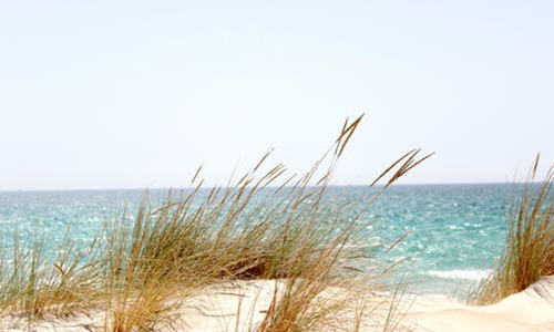 注冊開曼公司需要的資料