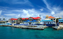 新加坡和香港公司對股東、董事的要求