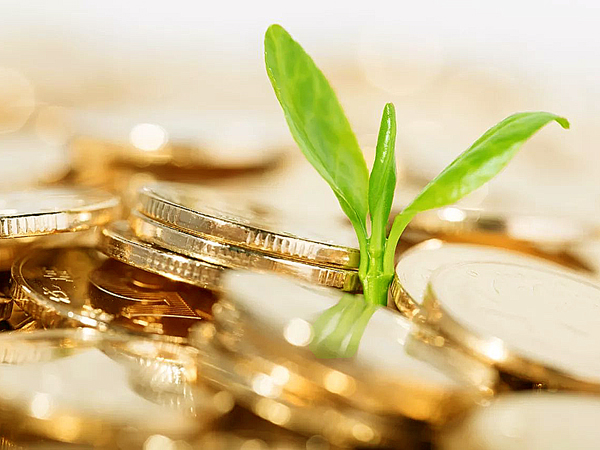 德國公司產(chǎn)生的稅收