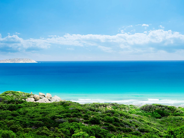 注冊(cè)塞舌爾公司的優(yōu)勢(shì)