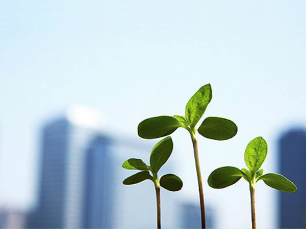 愛爾蘭基金環(huán)境