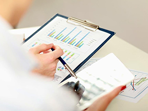 審計及基金年度申報表（FAR）