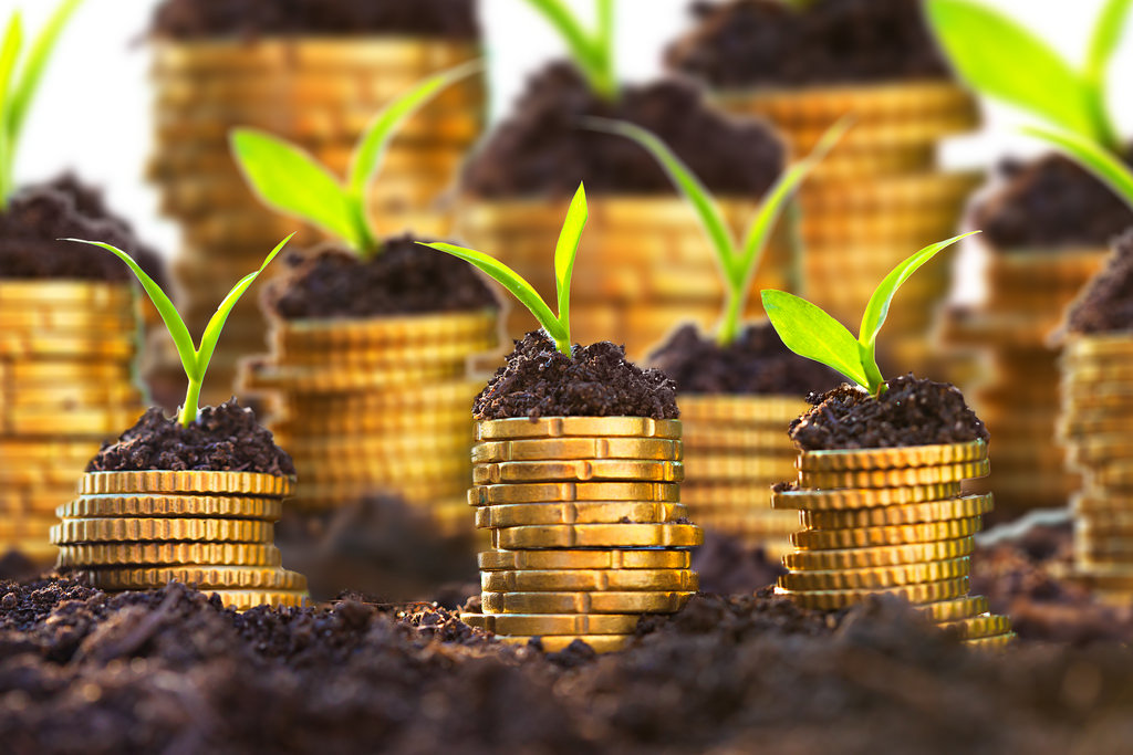 跨境電商品牌化趨勢(shì)